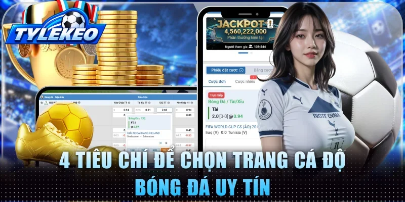 4 tiêu chí để chọn trang cá độ bóng đá uy tín