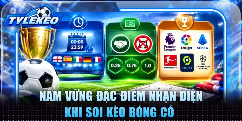 Nắm vững đặc điểm nhận diện khi soi kèo bóng cỏ 